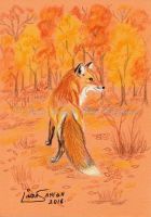 Fall Fox